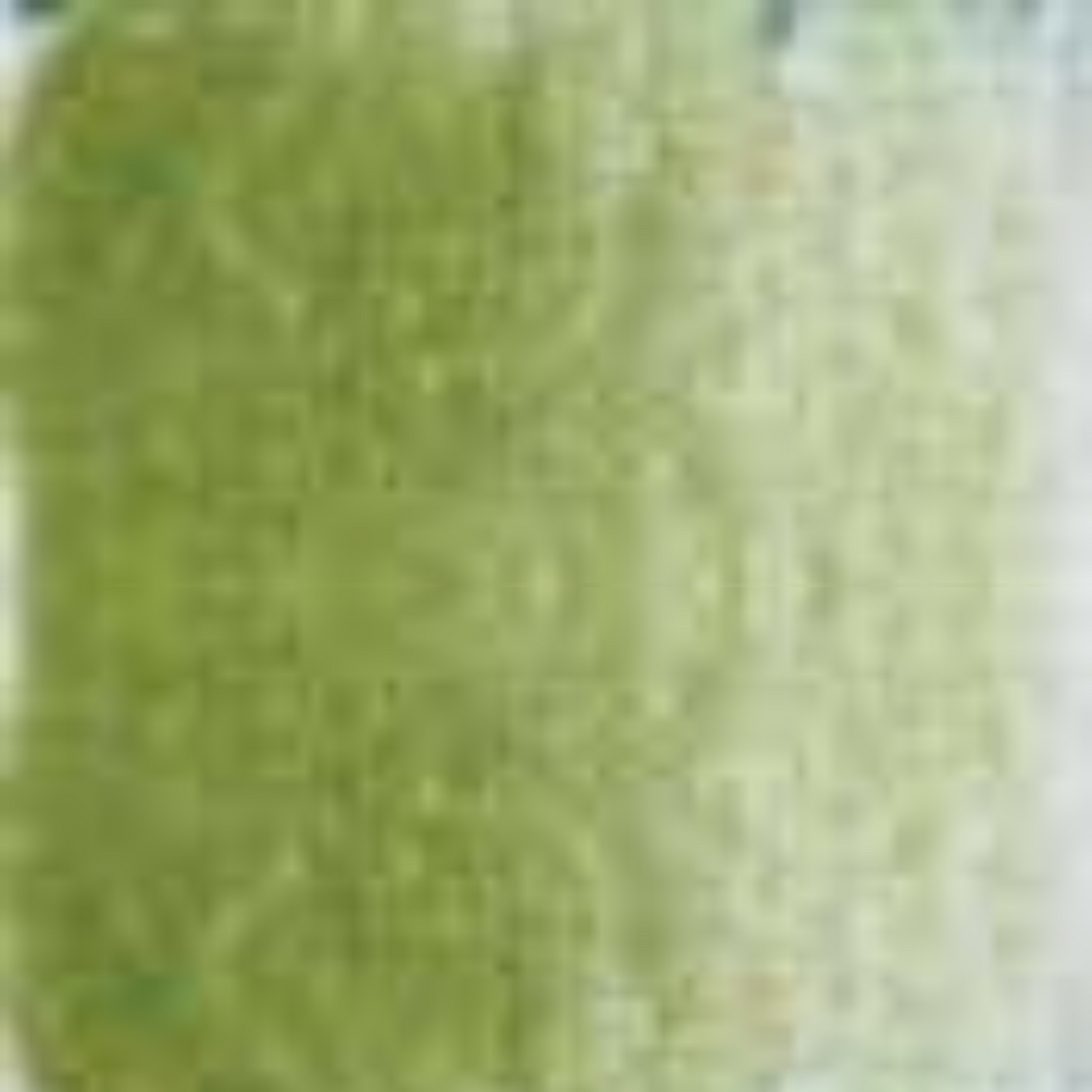 Moss Green Holbein Artists' Colored Pencils