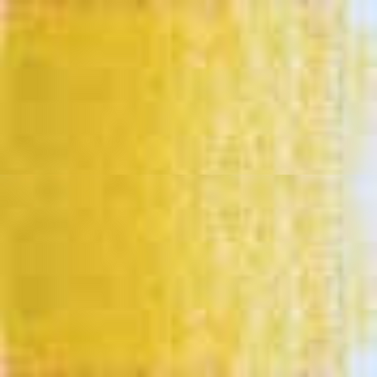 Mustard Holbein Artists' Colored Pencils