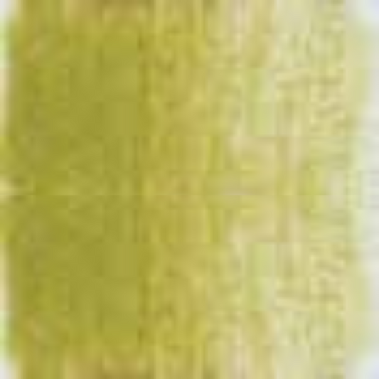 Olive Yellow Holbein Artists' Colored Pencils