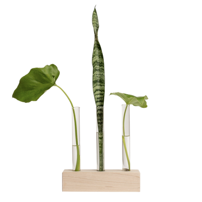 Propagation Station Trio