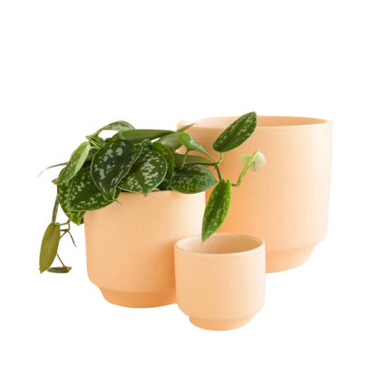 Parker Planter