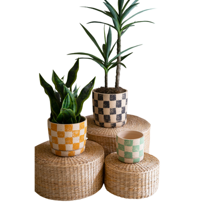Checkered Clay Planter with Tray
