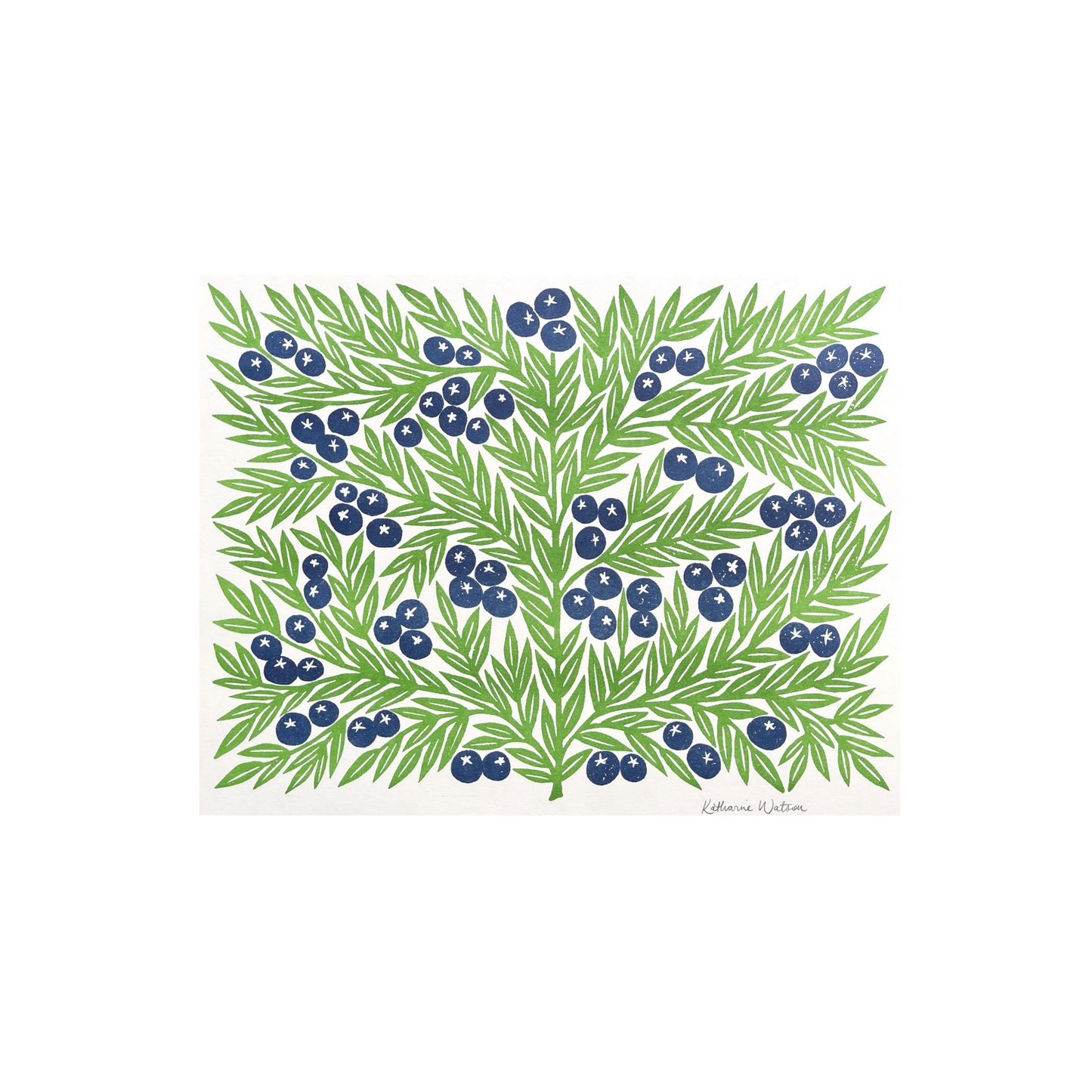 Garden Series: Blueberries Risograph Print
