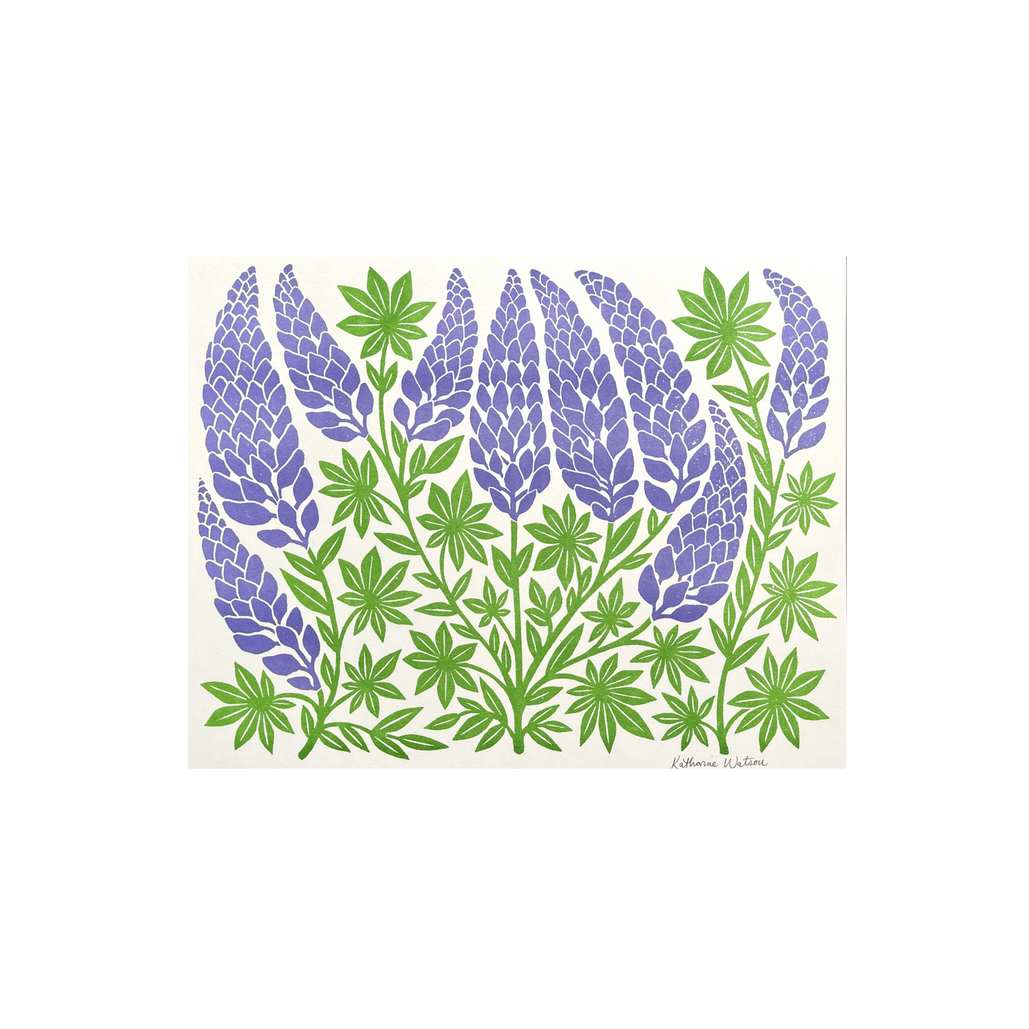 Garden Series: Lupines Risograph Print