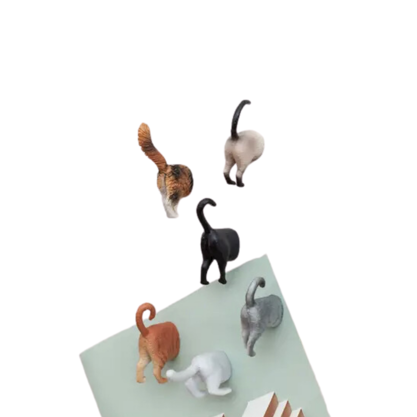 Cat Butt Magnets (Set of 6)