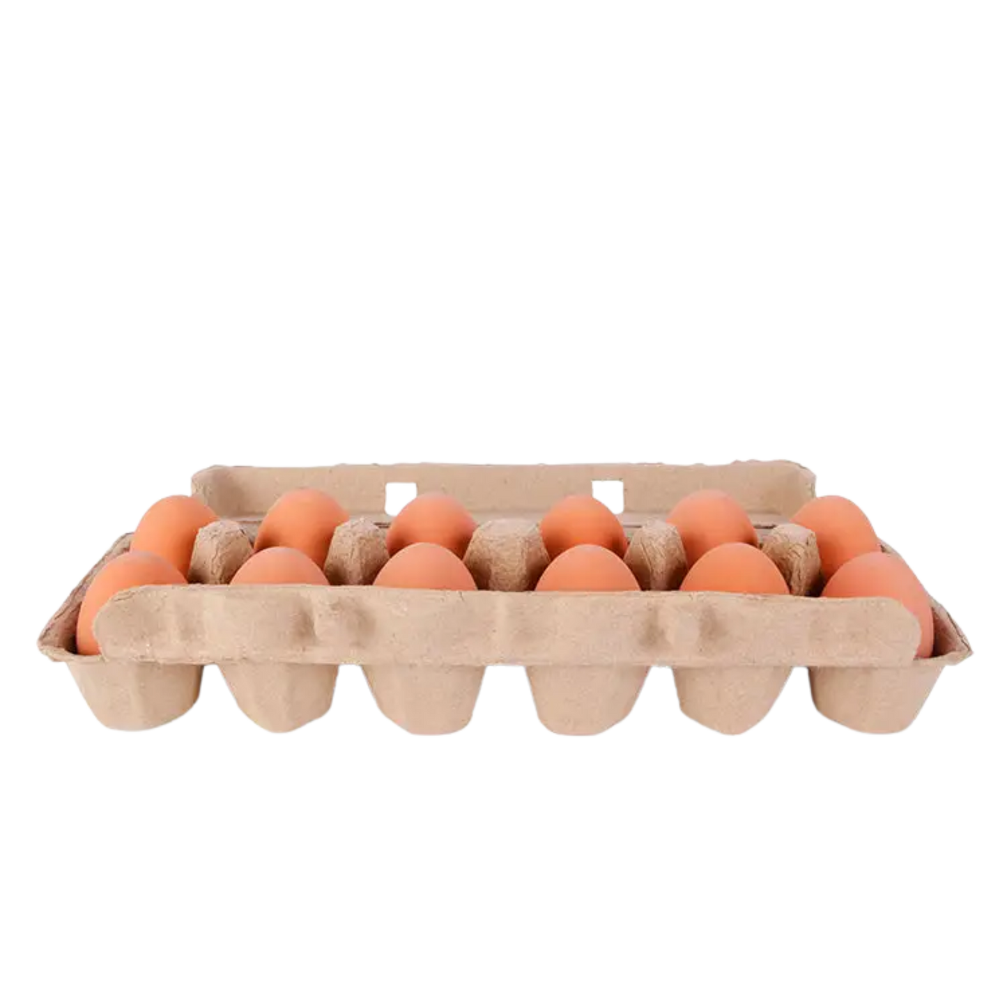 Egg Bouncy Balls
