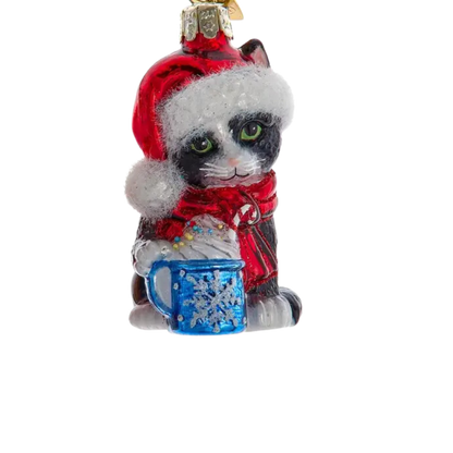 Noble Gem Kitten with Hot Cocoa