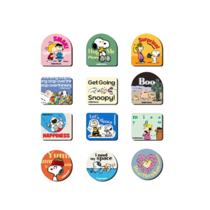 Peanuts Snoopy & Friends Magnet Mystery Random Box