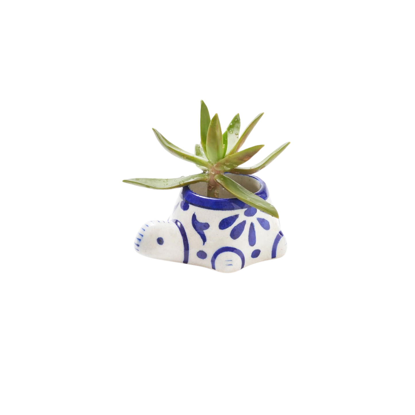 Lalita Baby Turtle Planter