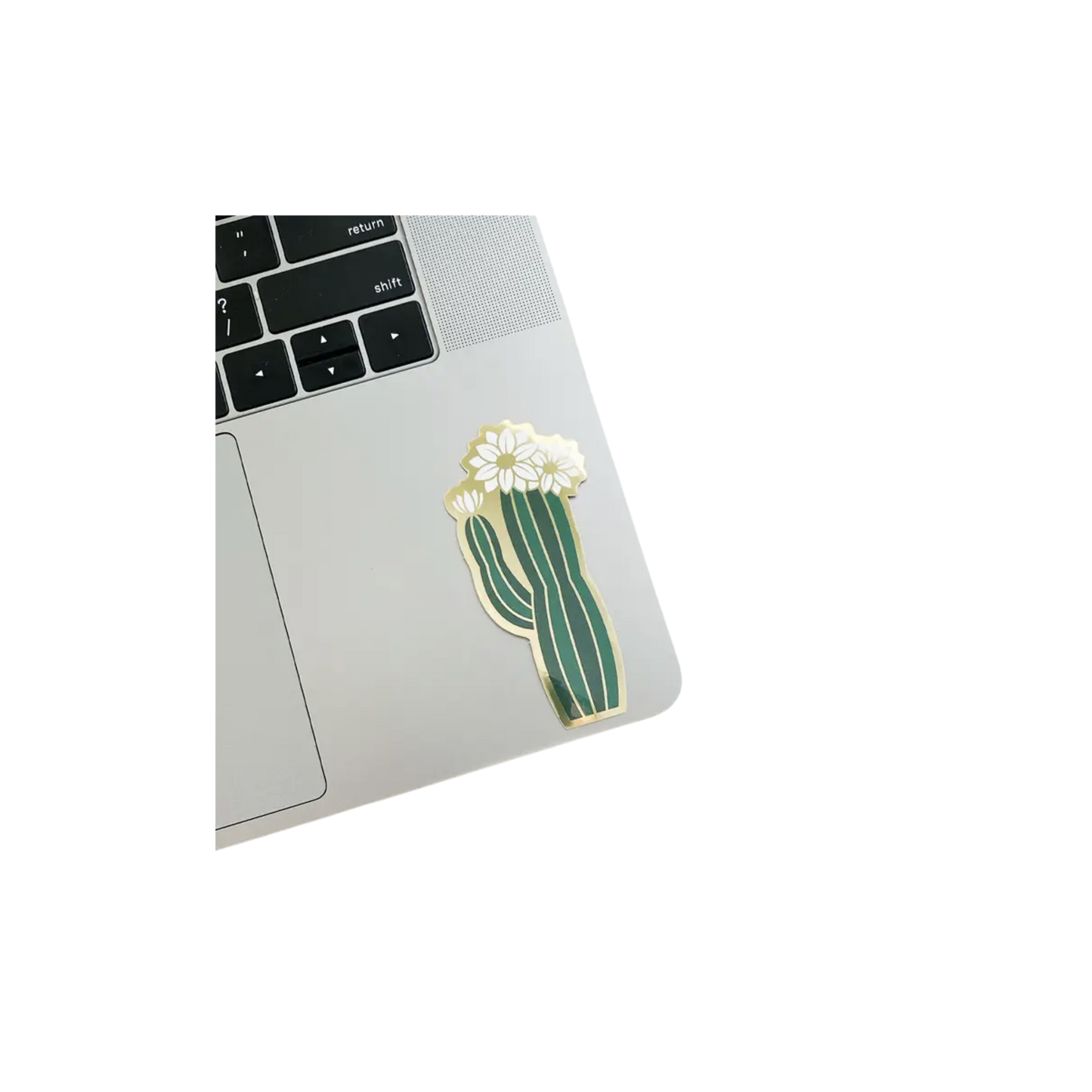 Olivia Blooming Cactus Sticker