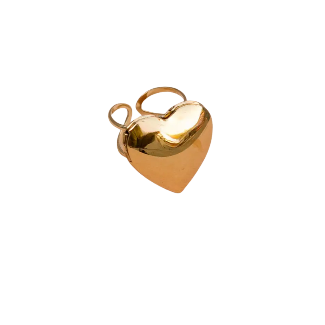 Locket Up Ring