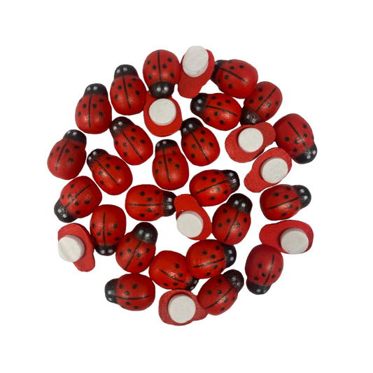 Tiny Wooden Ladybugs – 30 Count
