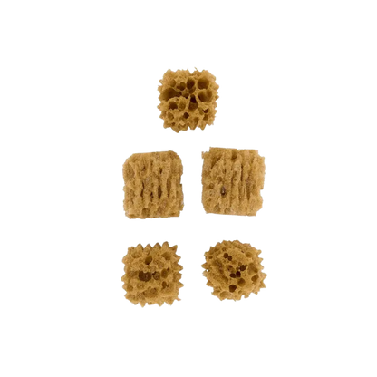Folkart ® 5 pc Sponge Value Pack