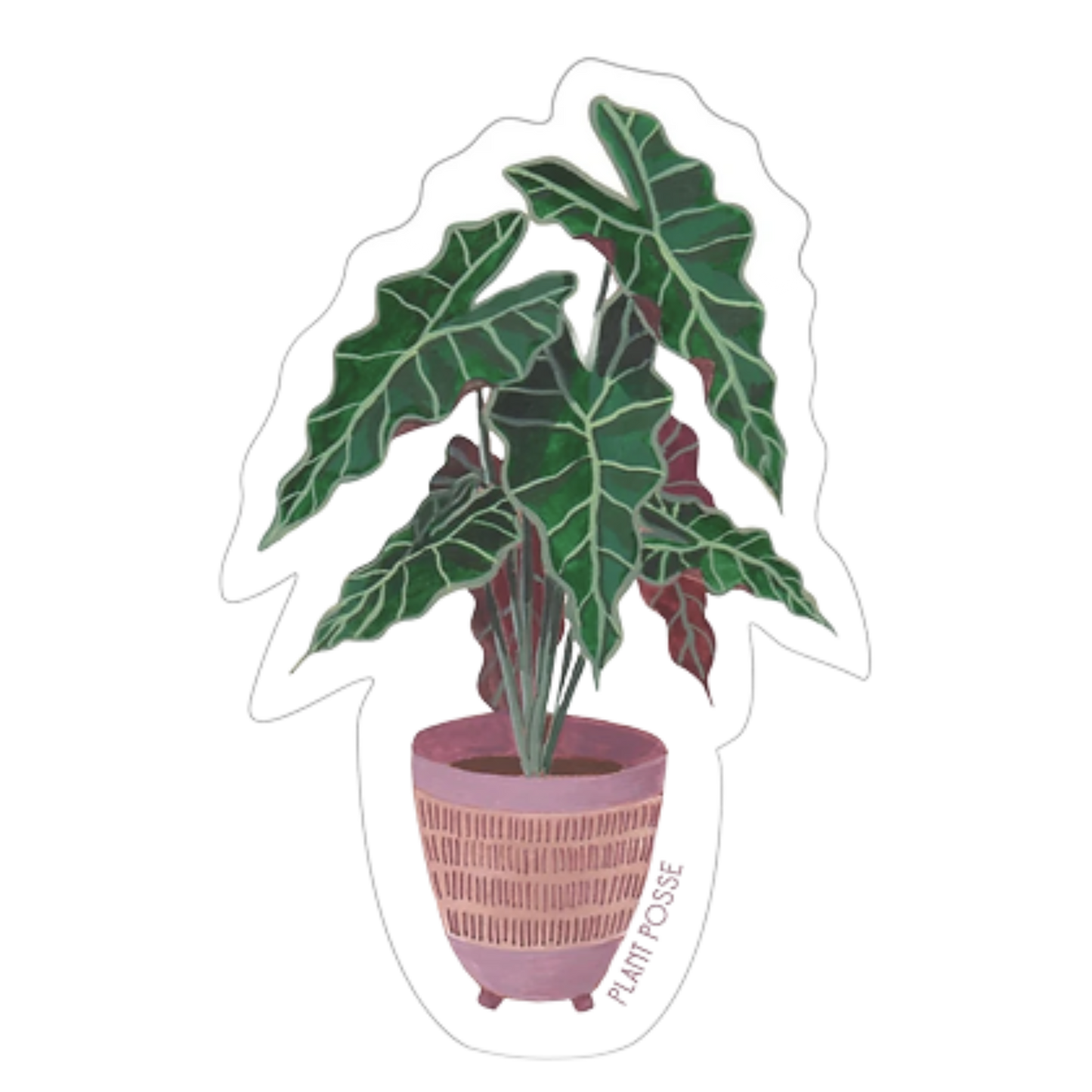 African Mask Plant Sticker