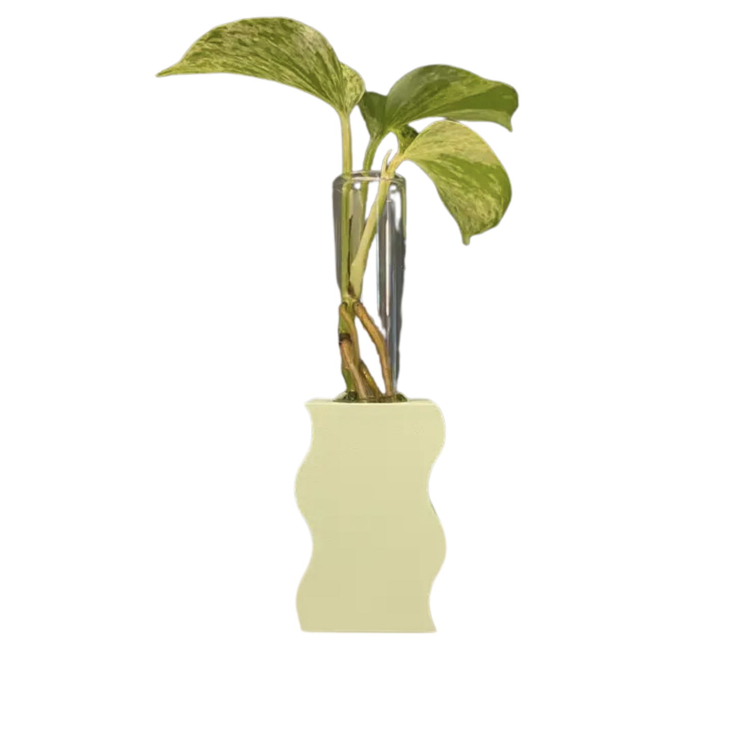 3D Printed Squiggly Propagation Stand