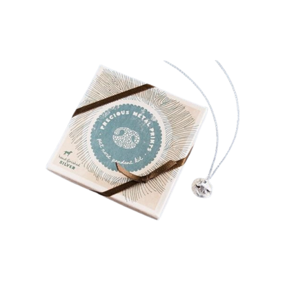 Custom pet nose pendant kit