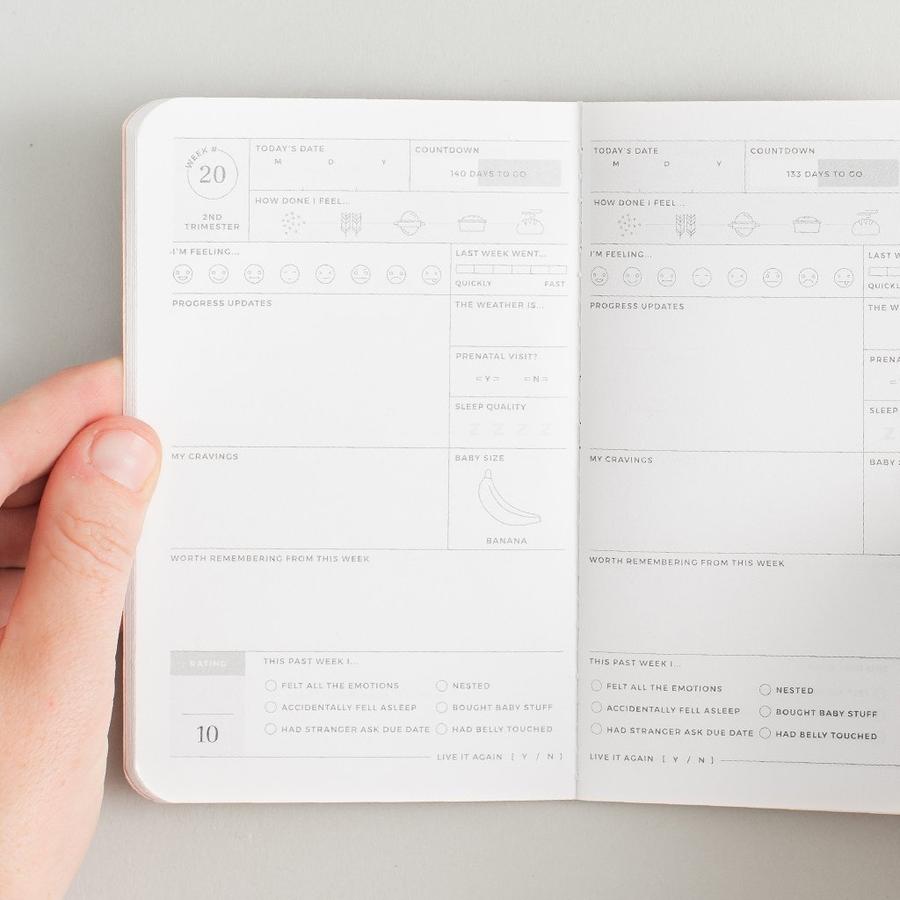 Pregnancy Passport