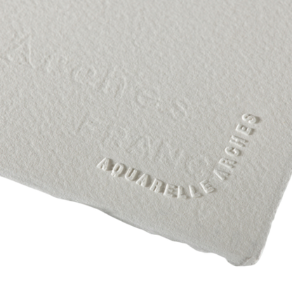 Professional Watercolor Paper Sheets 22x30"