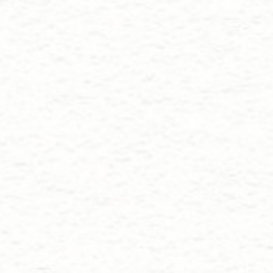 FW Liquid Acrylic Ink 1oz - White