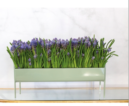 Minty Planter