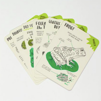 Hello Nature Activity Cards