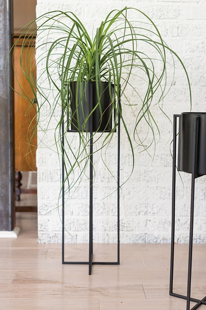 Black Plant Stand