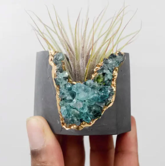 Blue Apatite Geode Vessel (Dark) and Air Plant