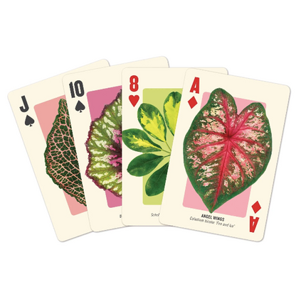 Houseplant Playing Card Set