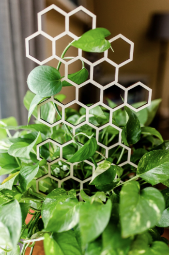 18.5" Honeycomb Plant Trellis Stakes