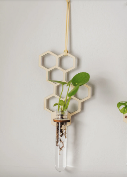 Honeycomb Hanging Propagation Station