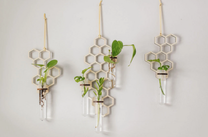 Honeycomb Hanging Propagation Station