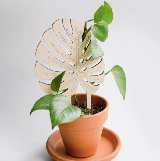 Monstera Leaf Trellis
