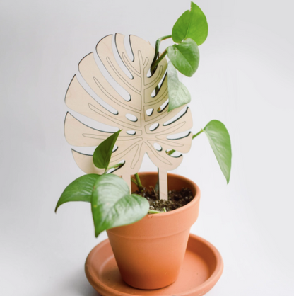 Monstera Leaf Trellis