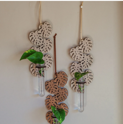 Climbing Monstera Hanging Propagation Station