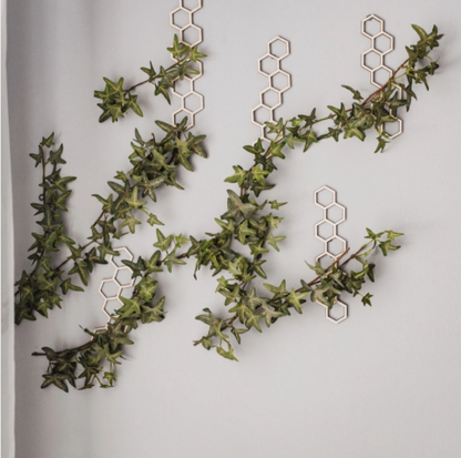 Wall Hanging Plant Trellis - Set of 3
