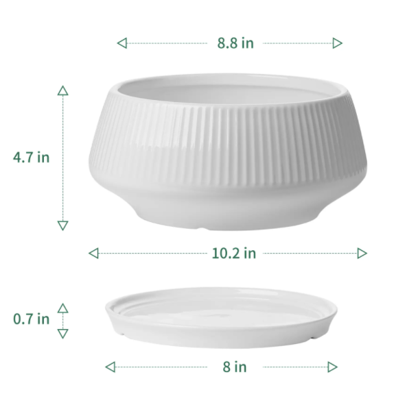 8.8 Inch Large Ceramic Plant Pot with Saucer - Black