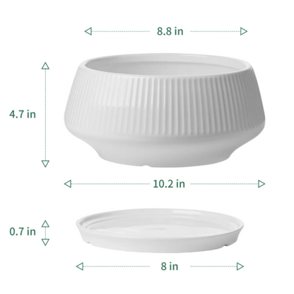 8.8 Inch Large Ceramic Plant Pot with Saucer - Black