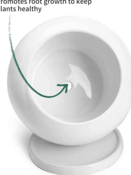 5 Inch White Round Plant Pot with Saucer