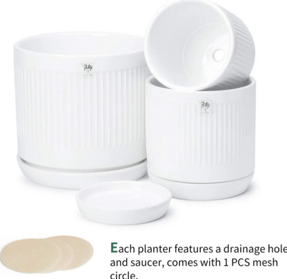 White Fluted Cylinder Ceramic Plant Pots