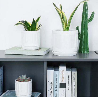 White Fluted Cylinder Ceramic Plant Pots