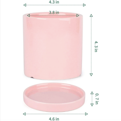 3.8 Inch Pink Cylinder Plant Pot with Saucer