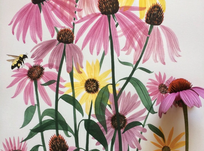Coneflowers Art Print - 11"x14"