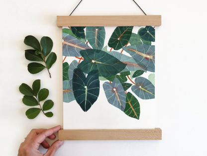 Caladiums Art Print - 11"x14"