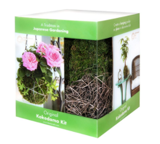 Kokedama Kit