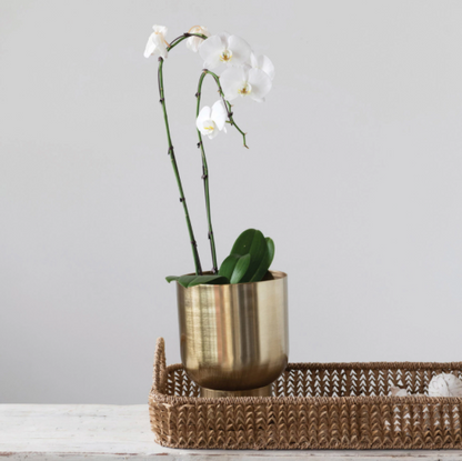 Gold Brass Metal Planter