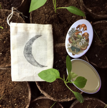 House of Fox Pocket Mirror