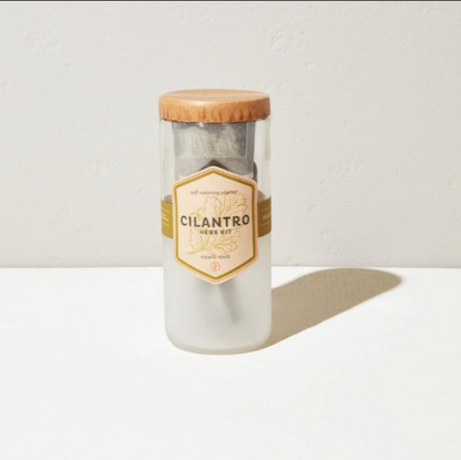 ECO PLANTER - ORGANIC CILANTRO