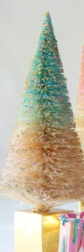 Large Speckled Sisal Tree