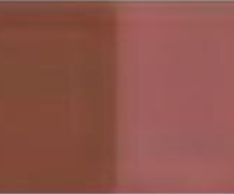 Indian Red Holbein Artists' Oil Color - 20ml