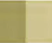Monochrome Warm Holbein Artists' Oil Color - 20ml